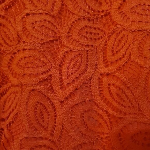 Ann Taylor Lace Ruffle Sleeve Dress Sz 10 - Picture 6 of 8